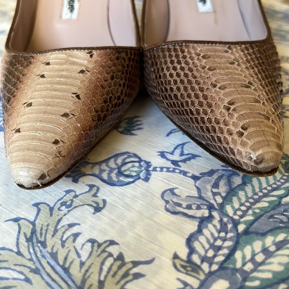 Python Manolos - Picture 10 of 11